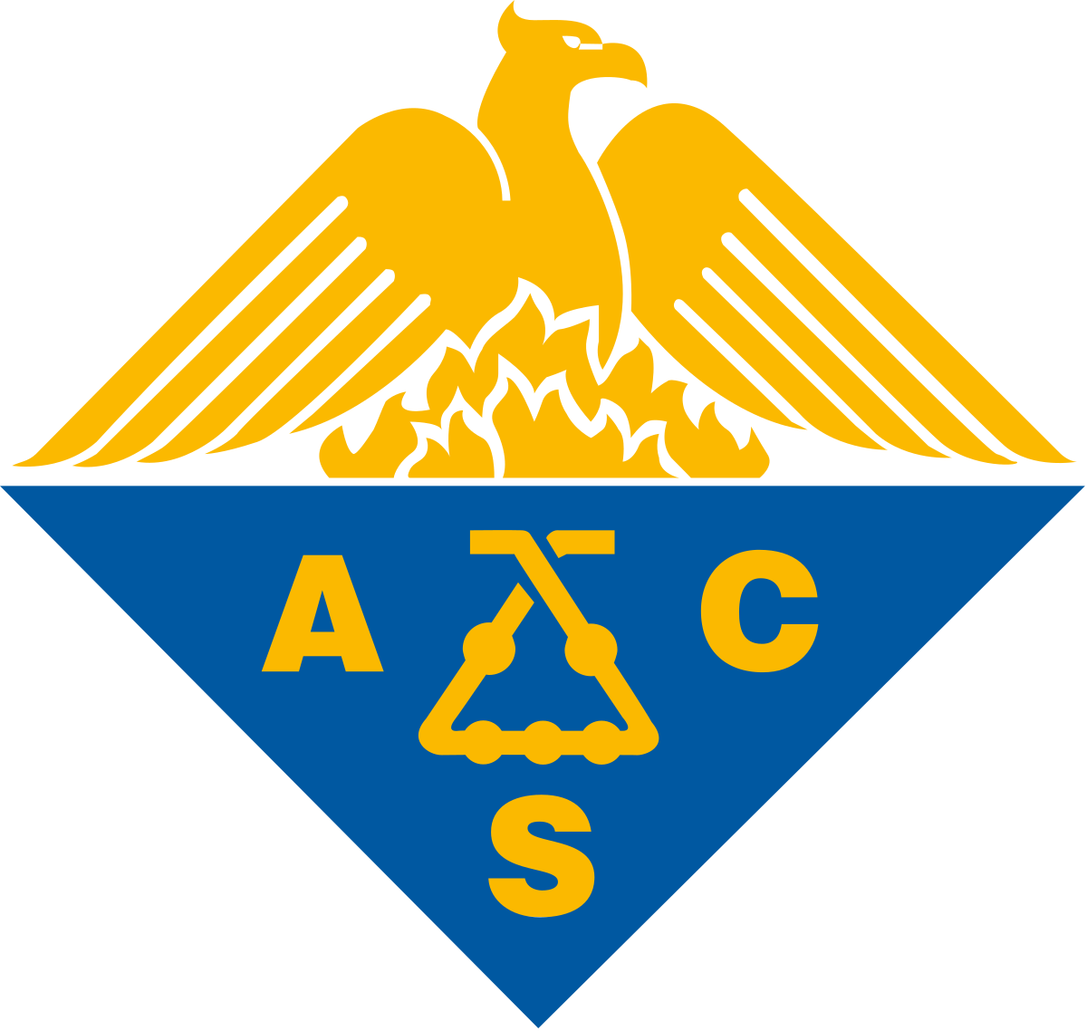 ACS Logo